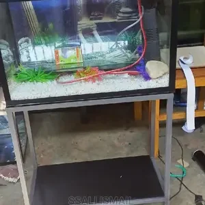 Looking Nice With a Grey Mettalic Stand