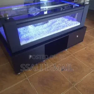 The Black, Nice Coffee Table Aquarium