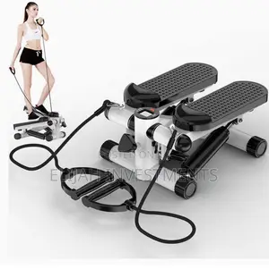 Portable Mini Fitness Twist Stepper Home Gym Exercise