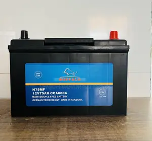 N75 Buffalo Car Battery