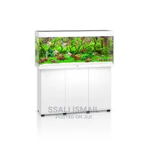 White Colour Aquarium With Best Interior